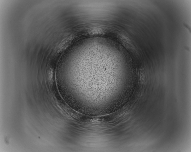 X0000099970550200806061632