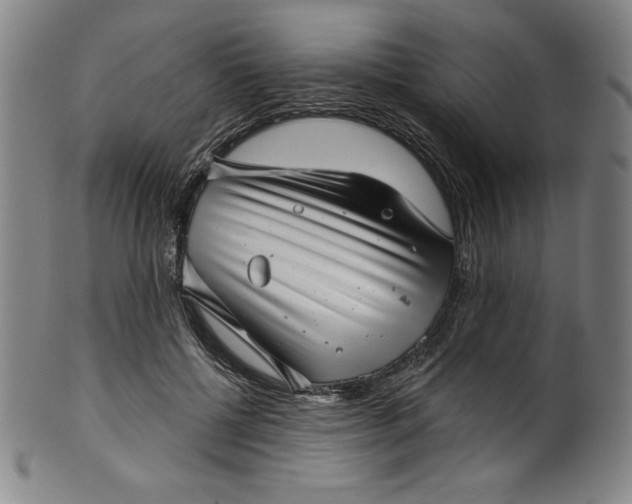 X0000099970552200806061632