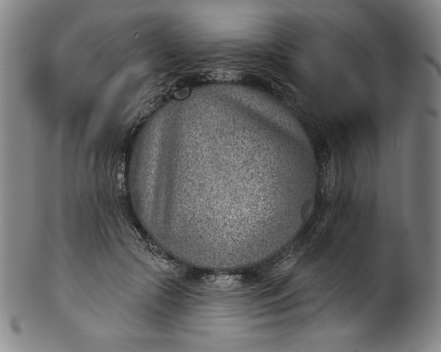 X0000099970553200806061632