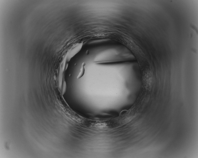 X0000099970554200806061632