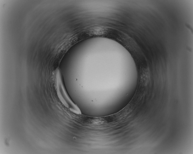 X0000099970555200806061632