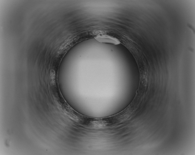 X0000099970556200806061632