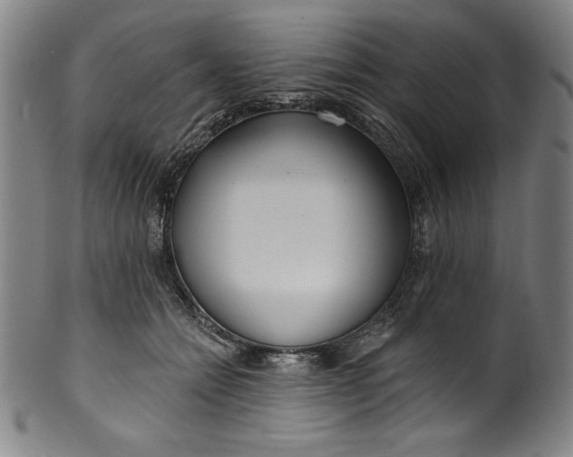 X0000099970558200806061632