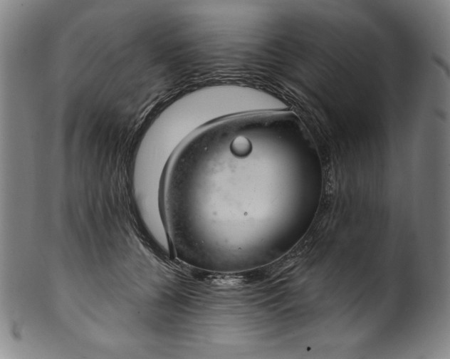 X0000099970560200806061632