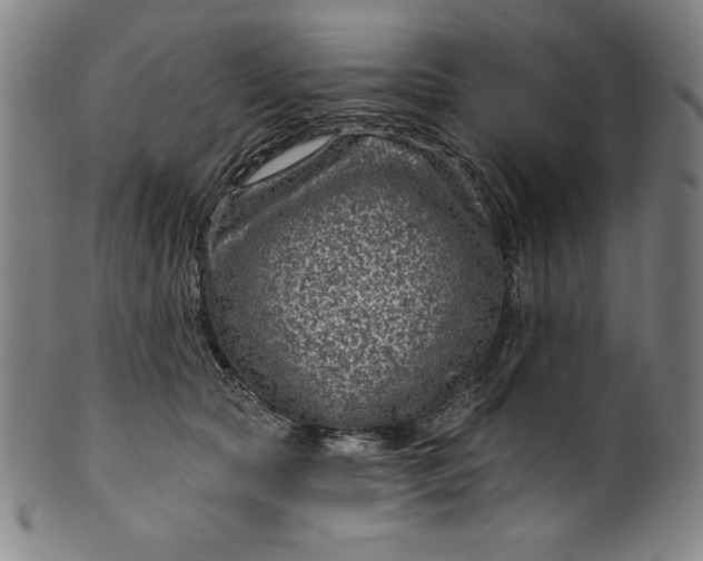 X0000099970561200806061632