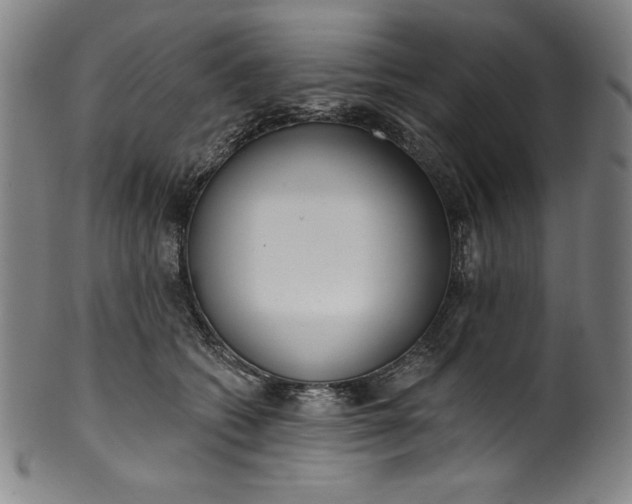 X0000099970562200806061632