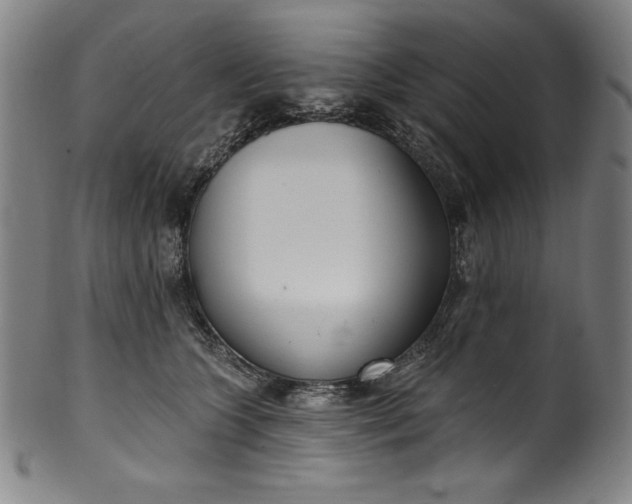 X0000099970563200806061632