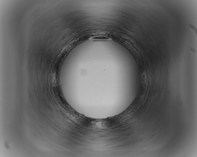 X0000099970564200806061632