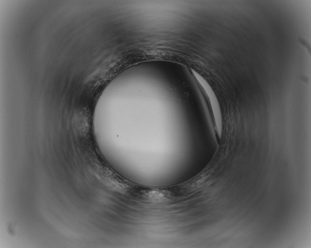 X0000099970566200806061632