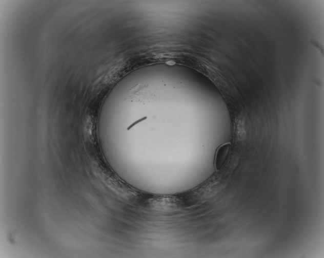 X0000099970567200806061633