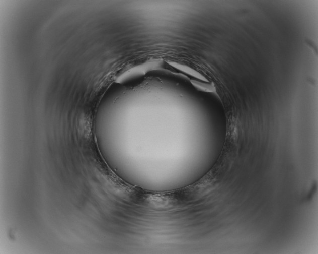 X0000099970568200806061633