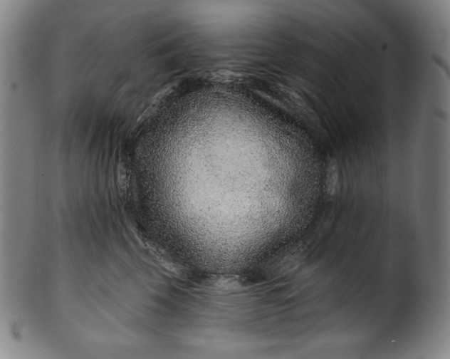 X0000099970569200806061633