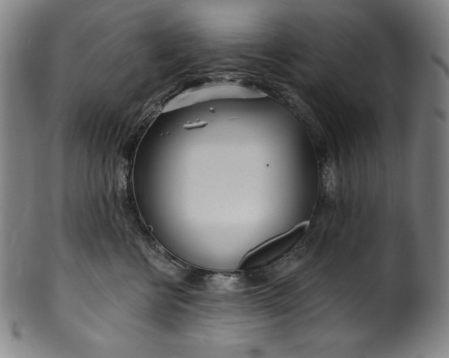 X0000099970570200806061633