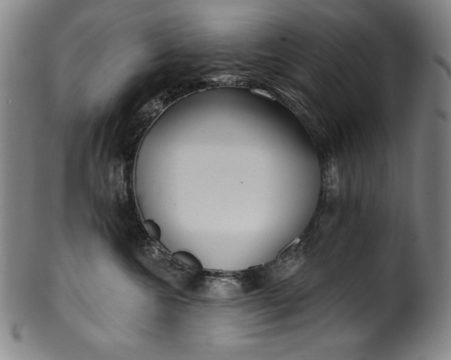 X0000099970572200806061633