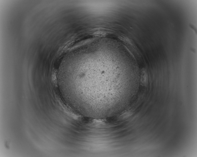 X0000099970573200806061633