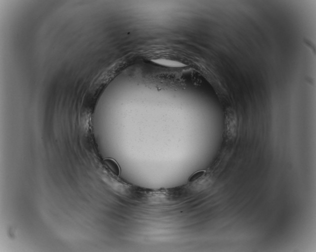 X0000099970574200806061633