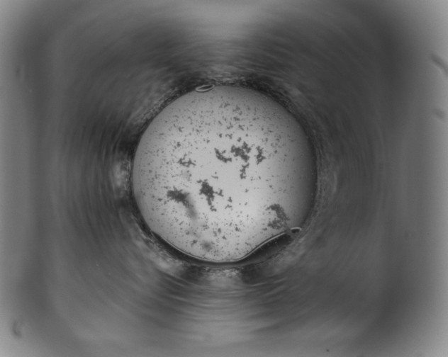 X0000099970576200806061633