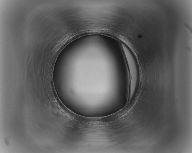 X0000099970577200806061632