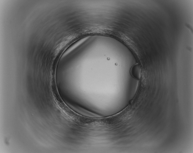 X0000099970578200806061632