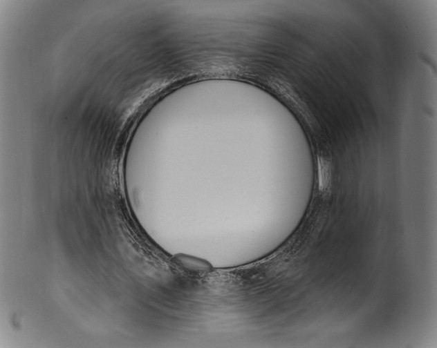 X0000099970579200806061632