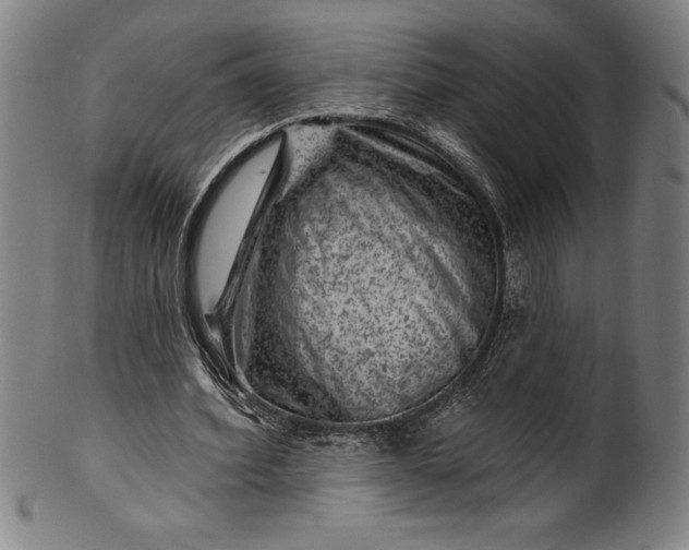 X0000099970580200806061632