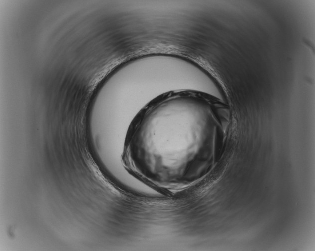 X0000099970581200806061632