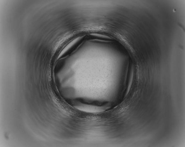 X0000099970582200806061632