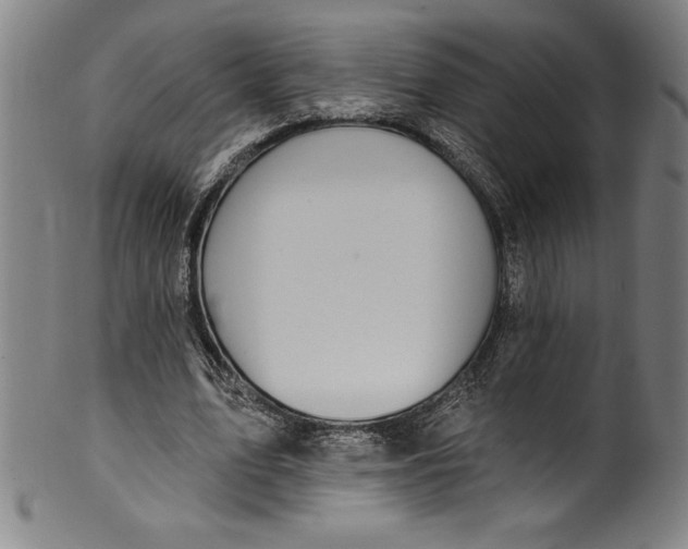 X0000099970583200806061632