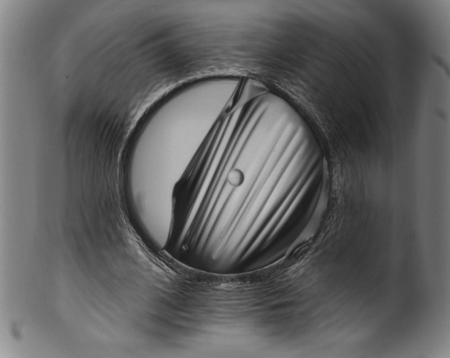 X0000099970584200806061632