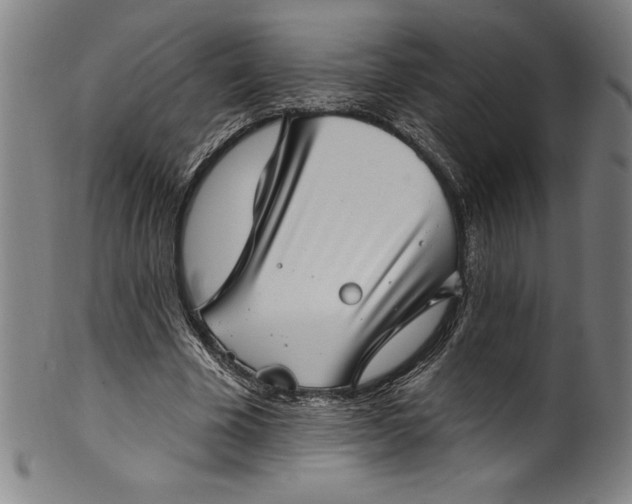 X0000099970585200806061632