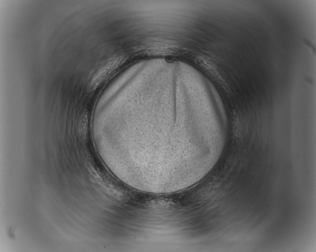 X0000099970586200806061632