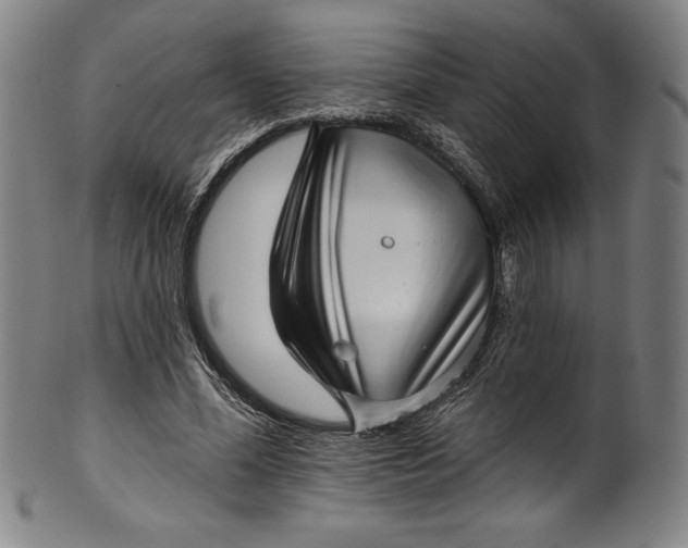 X0000099970588200806061632