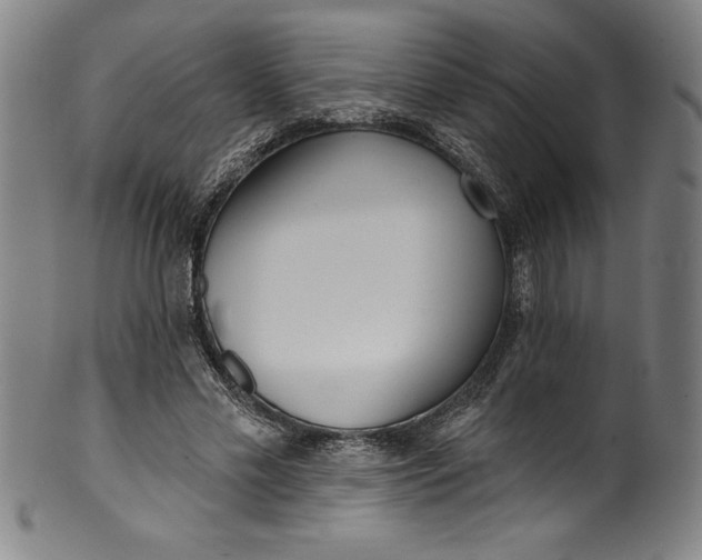 X0000099970589200806061632