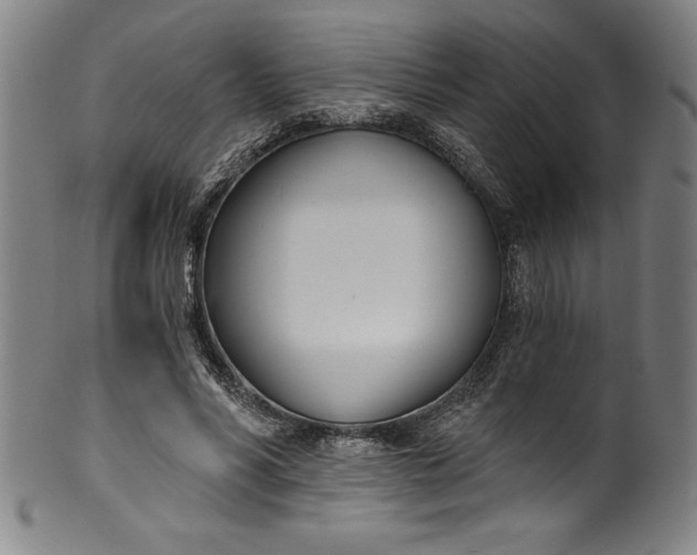 X0000099970590200806061632