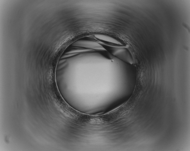 X0000099970591200806061632