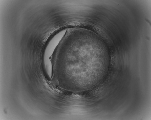 X0000099970592200806061632