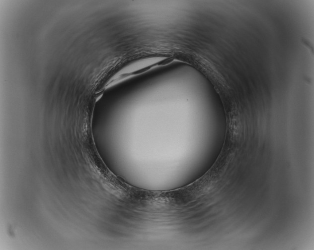 X0000099970593200806061632