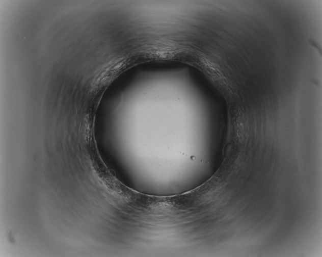 X0000099970594200806061632