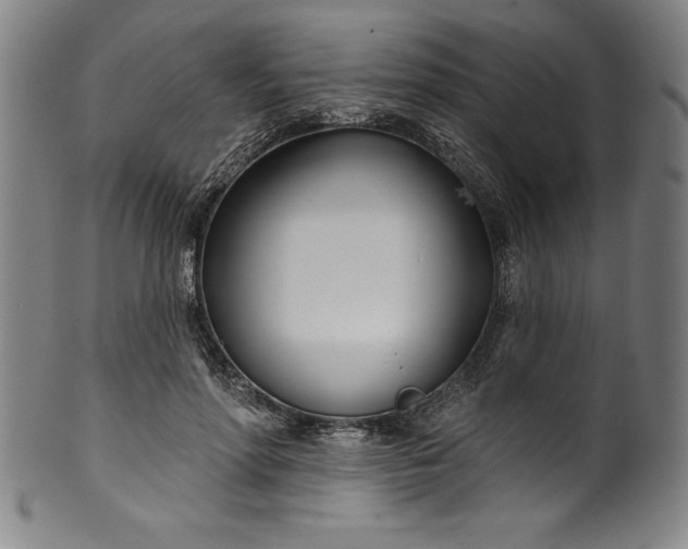 X0000099970598200806061632