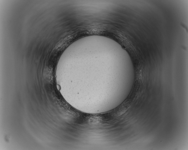 X0000099970599200806061632