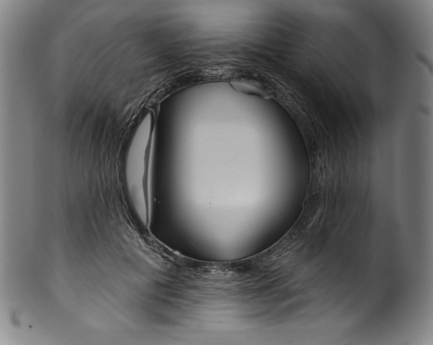 X0000099970601200806061632