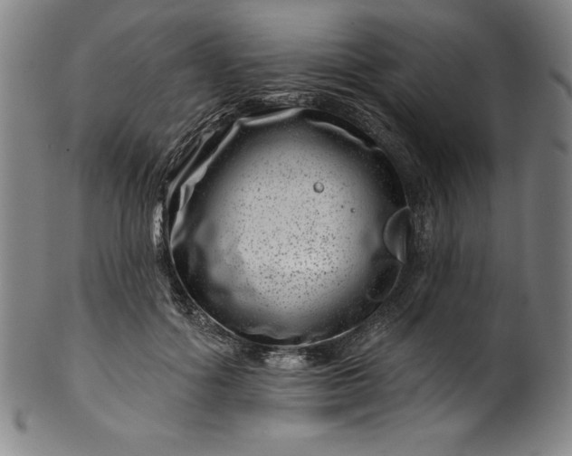 X0000099970602200806061632