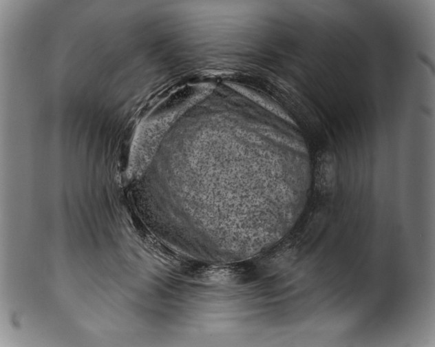 X0000099970604200806061631