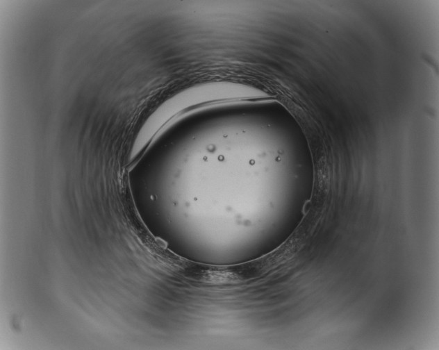 X0000099970605200806061631