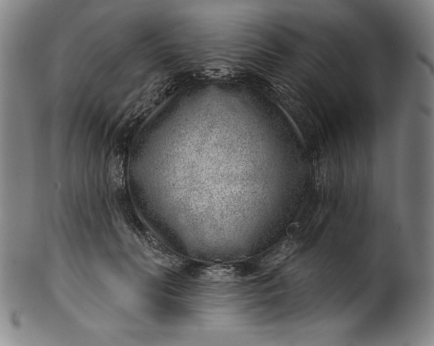 X0000099970606200806061631