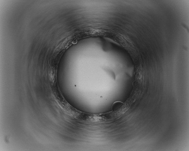 X0000099970607200806061631