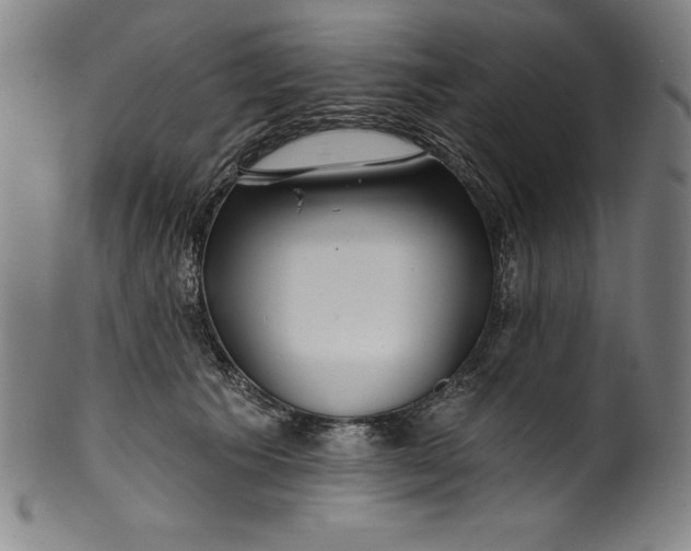 X0000099970609200806061631