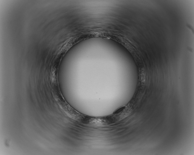 X0000099970611200806061631