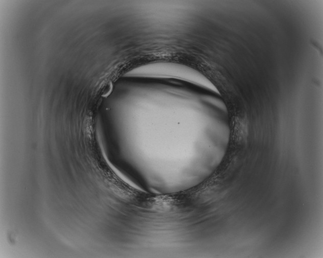 X0000099970612200806061631