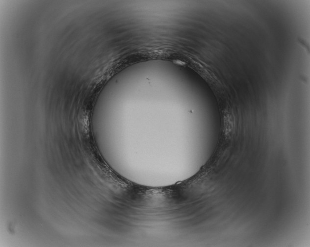 X0000099970613200806061631